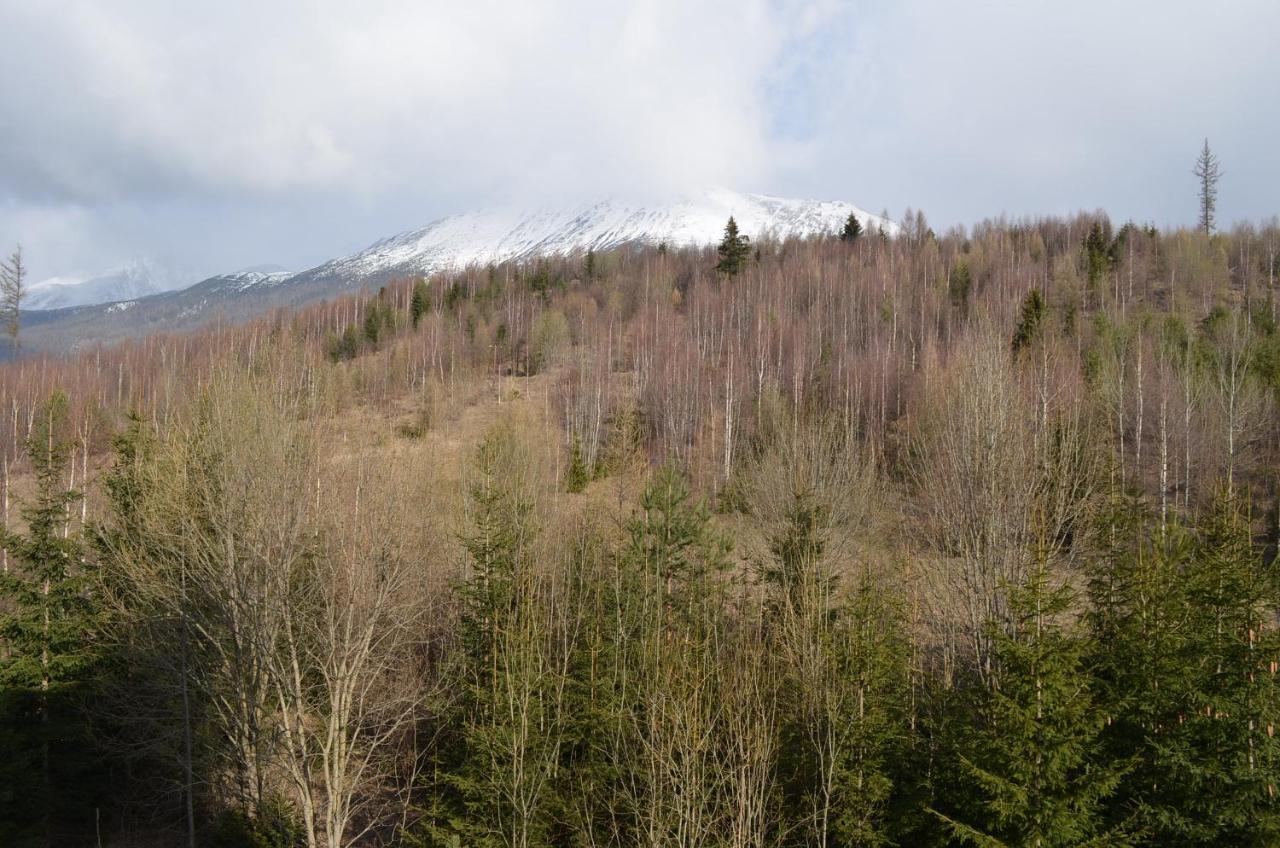 Apartman Lesia Vysoke Tatry Exterior photo